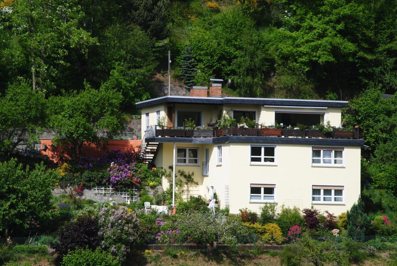 Ferienwohnung Haus Am Sommerberg Ludwigsstadt 외부 사진